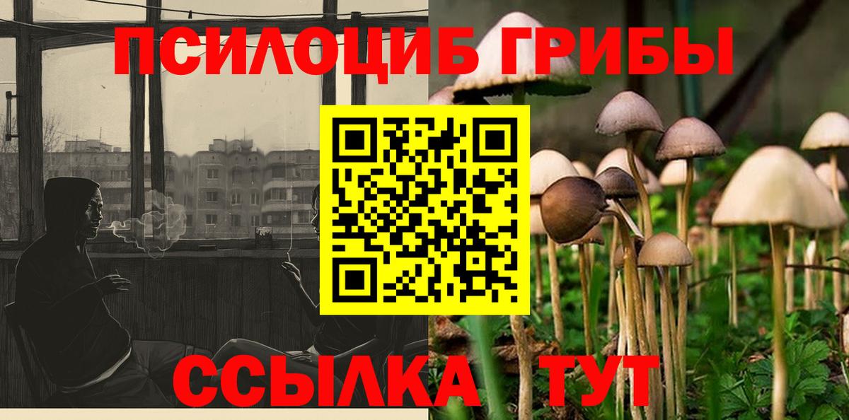 Галлюциногенные грибы Psilocybe Полысаево
