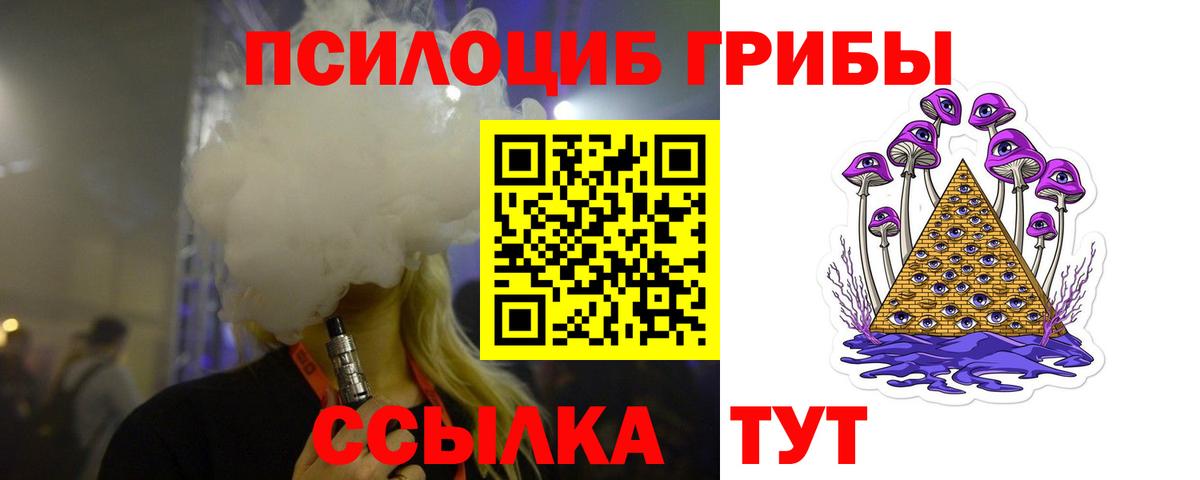 Псилоцибиновые грибы Psilocybe  Вход с VPN  Полысаево  Галлюциногенные грибы прущие грибы 